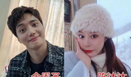 崽崽娱乐圈吃瓜小说推荐,崽崽吃瓜小说，揭秘明星幕后故事